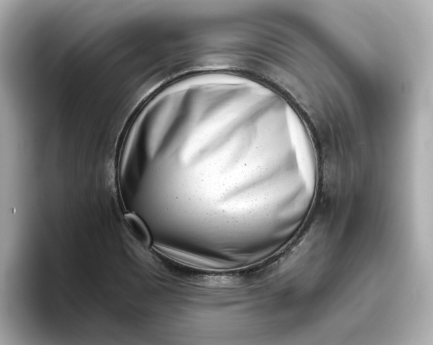 X0000096961465200802221332