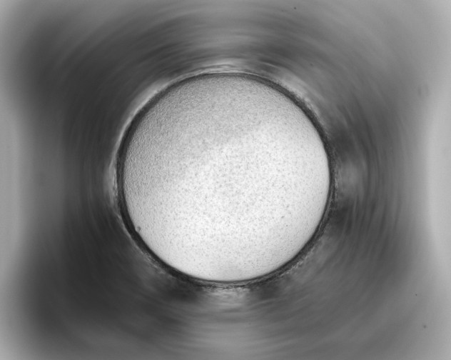 X0000096961466200802221332