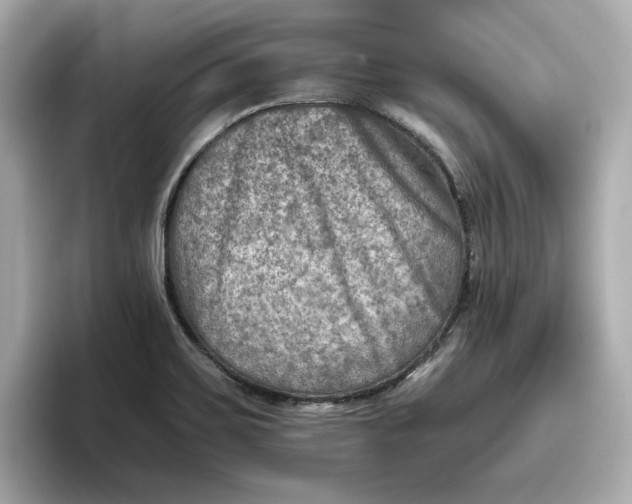 X0000096961467200802221332