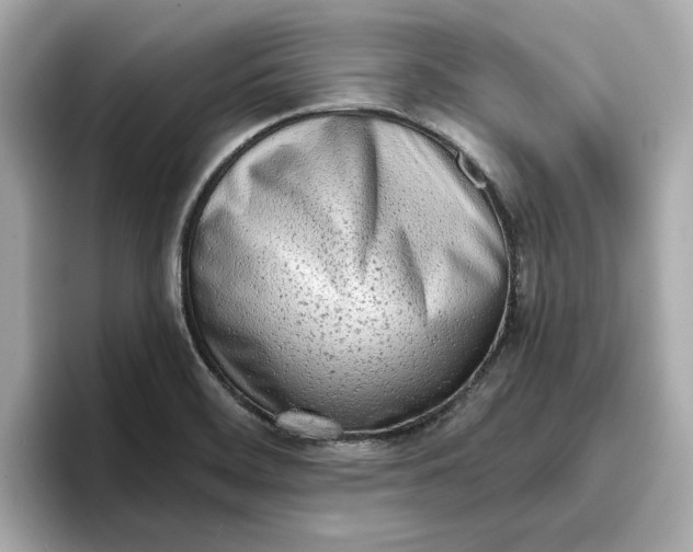 X0000096961468200802221332