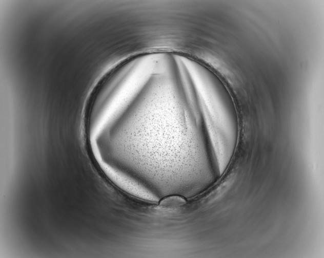 X0000096961469200802221332