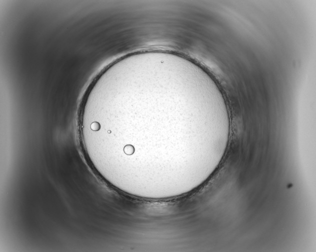 X0000096961470200802221332