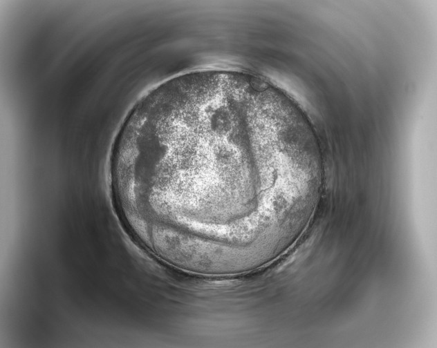 X0000096961471200802221332