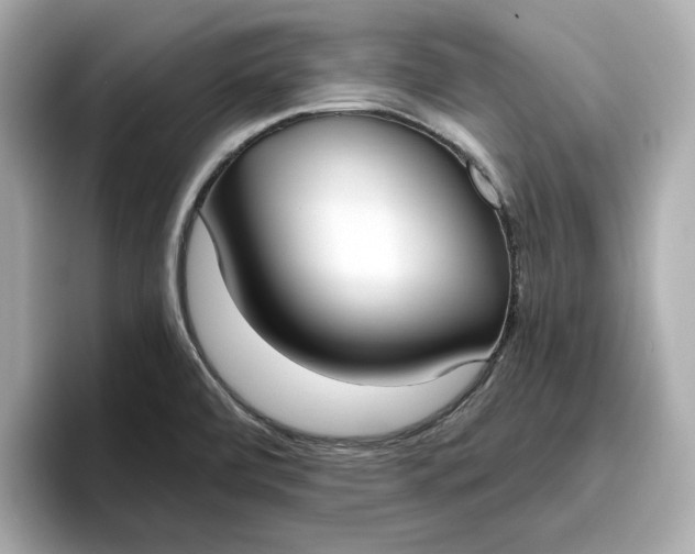 X0000096961472200802221332