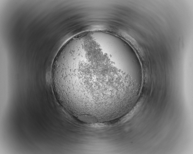 X0000096961473200802221332