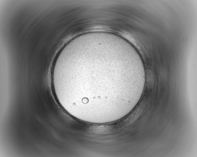 X0000096961474200802221332