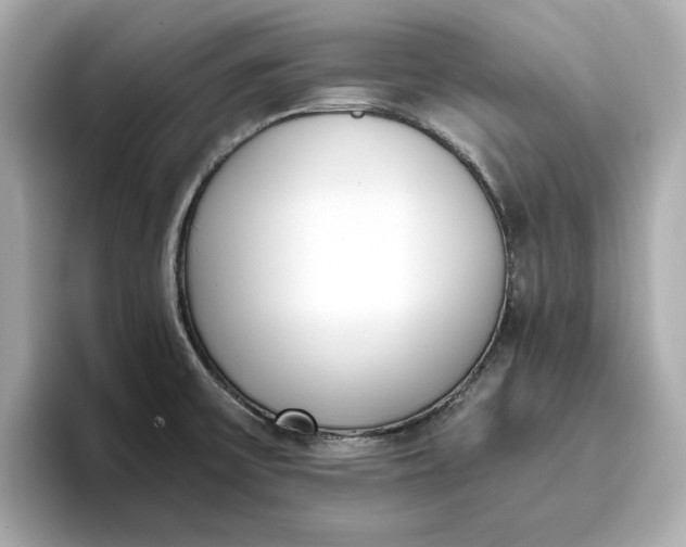 X0000096961475200802221332