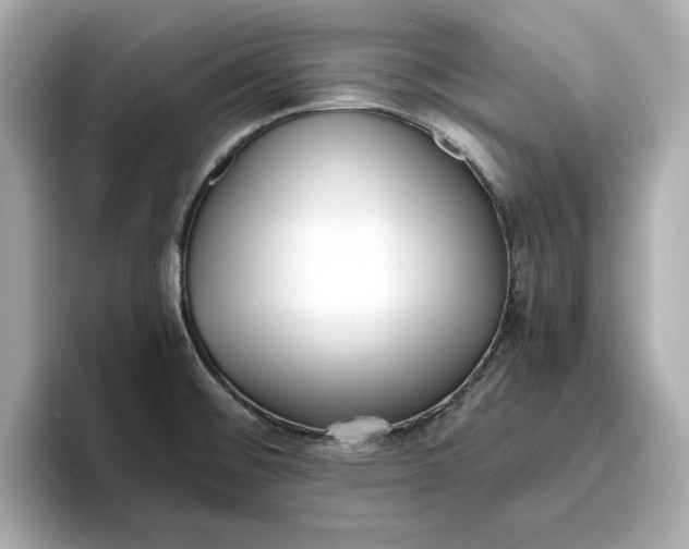 X0000096961476200802221332