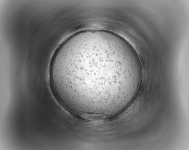 X0000096961477200802221332