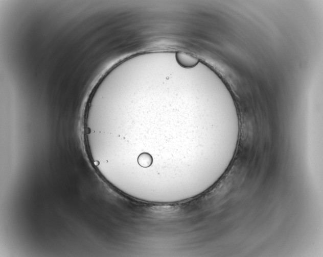 X0000096961478200802221332