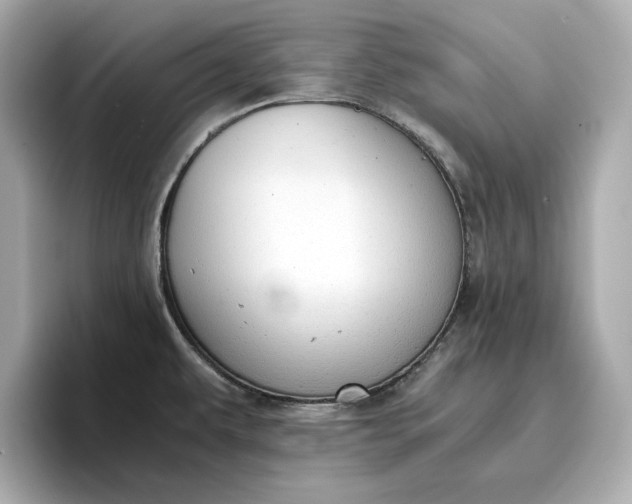 X0000096961479200802221332