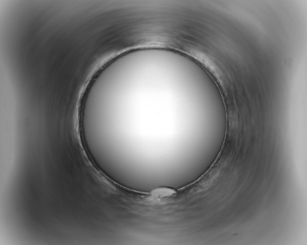 X0000096961480200802221332