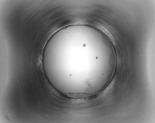 X0000096961481200802221332