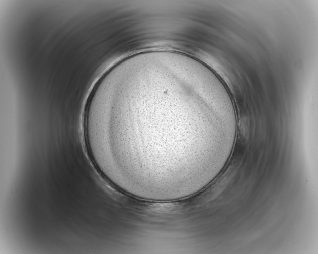 X0000096961482200802221332