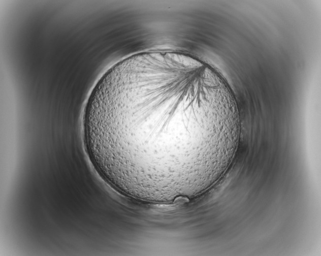 X0000096961483200802221332