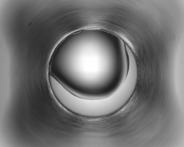 X0000096961484200802221332