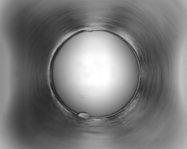 X0000096961485200802221332