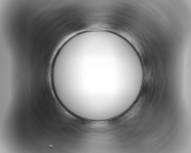 X0000096961486200802221332