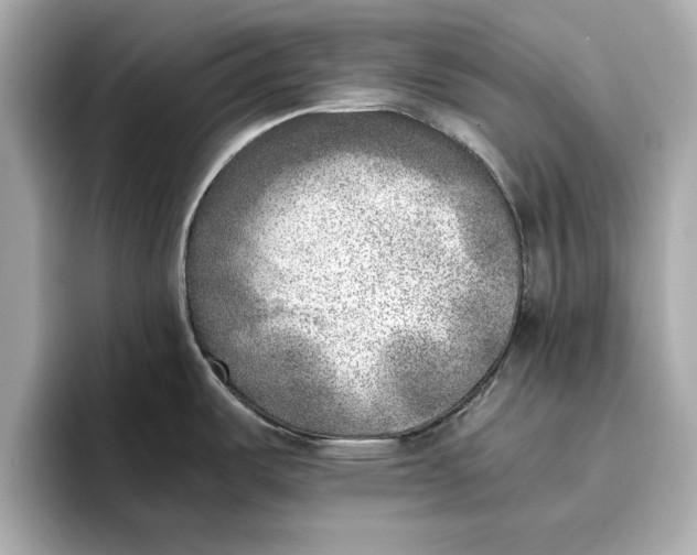 X0000096961487200802221332