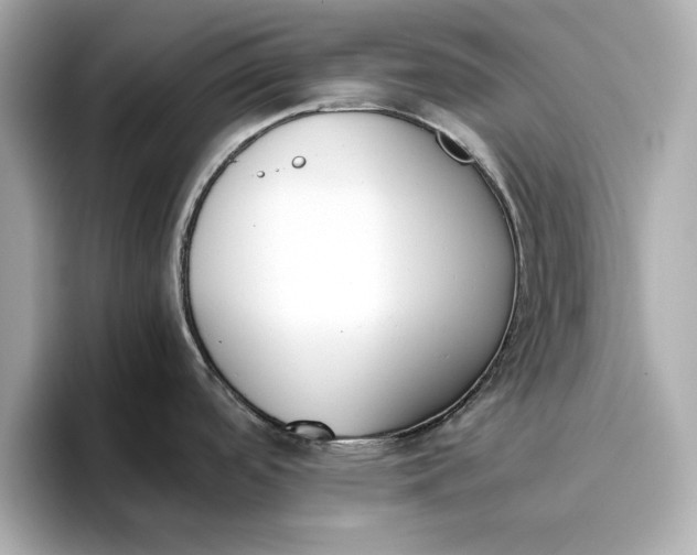 X0000096961488200802221332