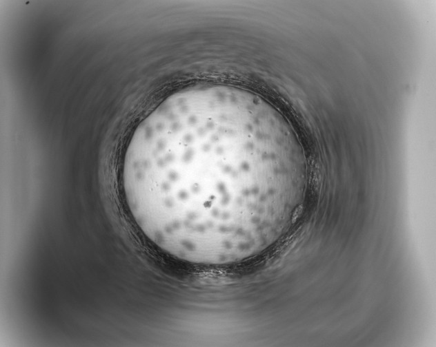 X0000096961489200802221331