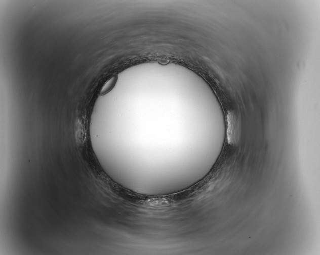 X0000096961491200802221331