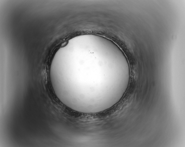 X0000096961493200802221331