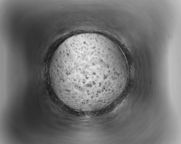 X0000096961494200802221331