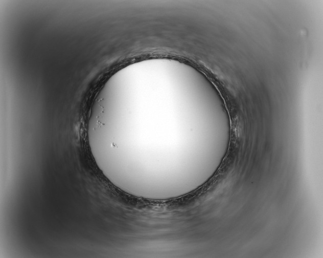 X0000096961495200802221331