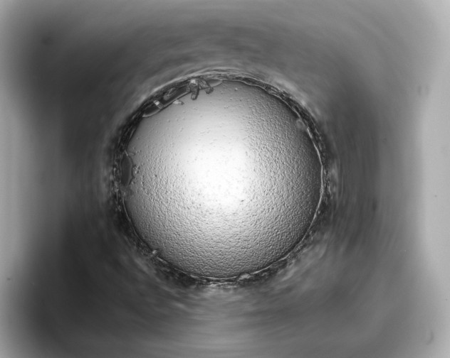 X0000096961496200802221331