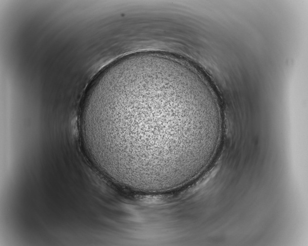 X0000096961497200802221331