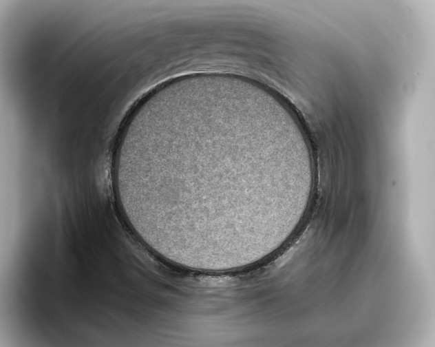 X0000096961498200802221331