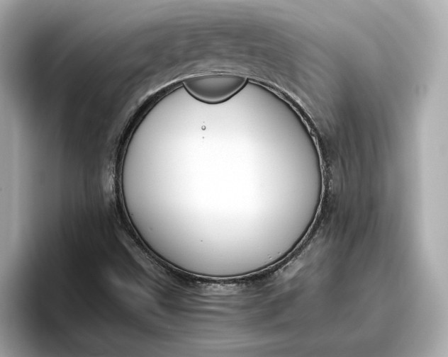 X0000096961499200802221332