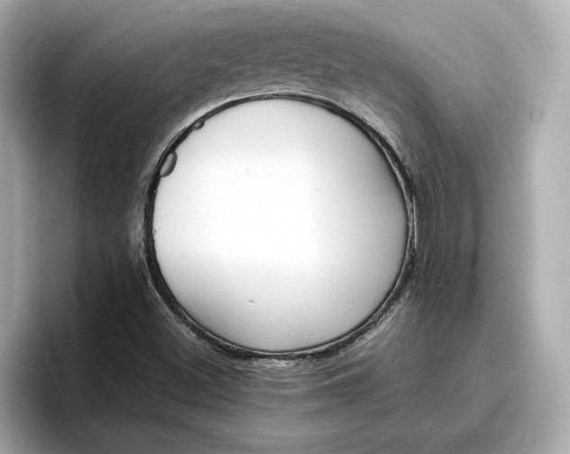 X0000096961500200802221332