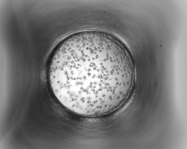 X0000096961501200802221332