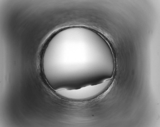 X0000096961502200802221332