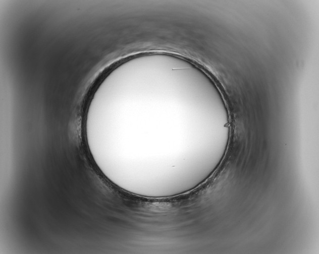 X0000096961503200802221332