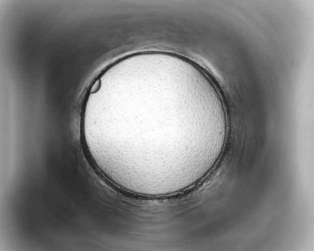 X0000096961504200802221332