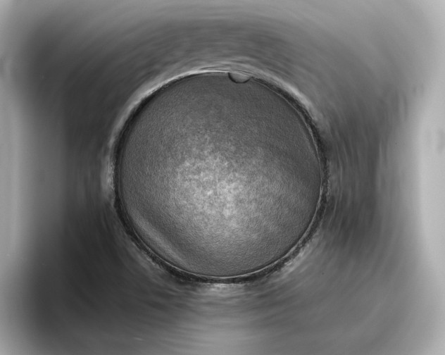 X0000096961506200802221332