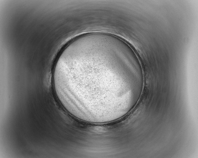 X0000096961507200802221332