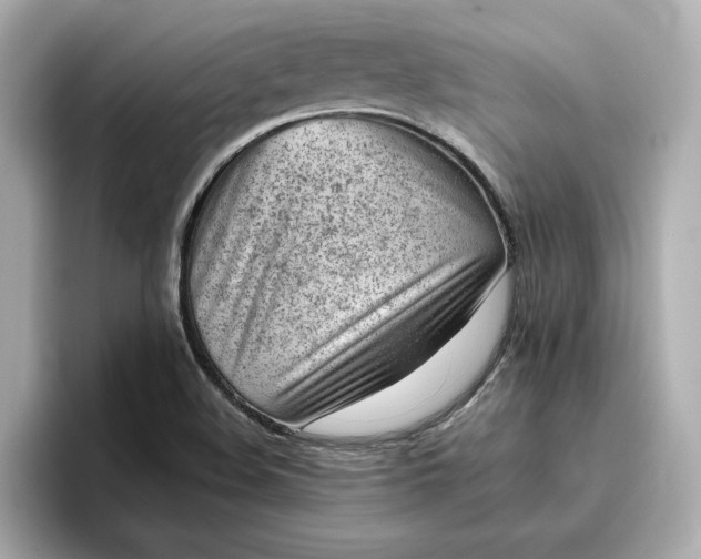 X0000096961508200802221332