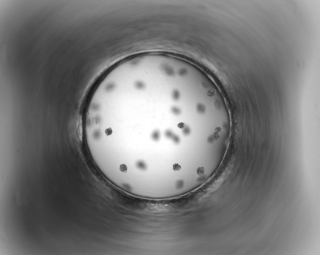 X0000096961509200802221332