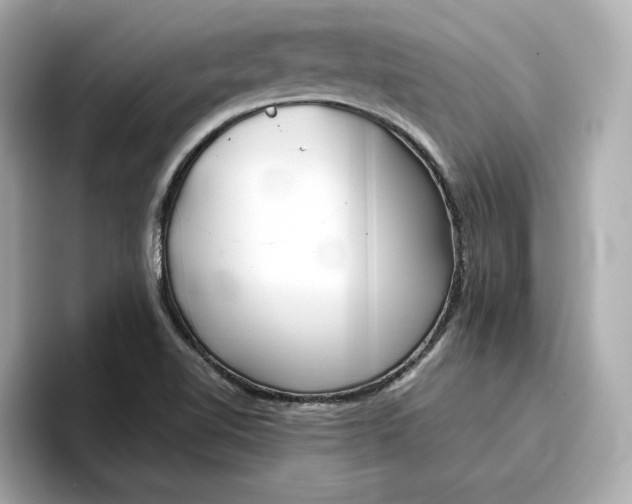 X0000096961510200802221332