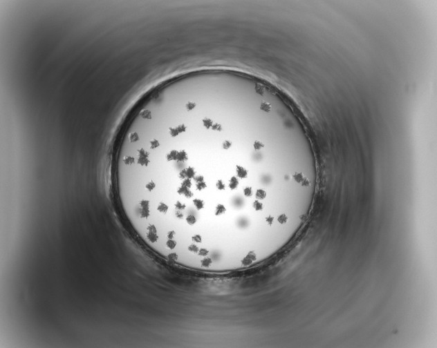 X0000096961511200802221332