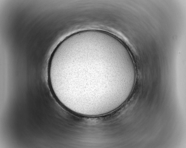 X0000096961512200802221332