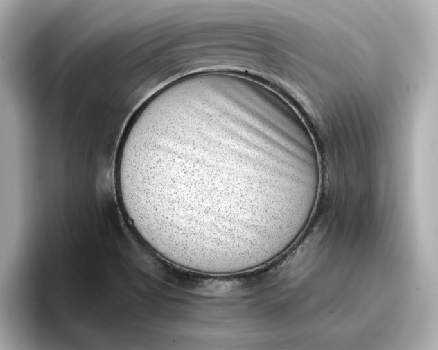 X0000096961513200802221332