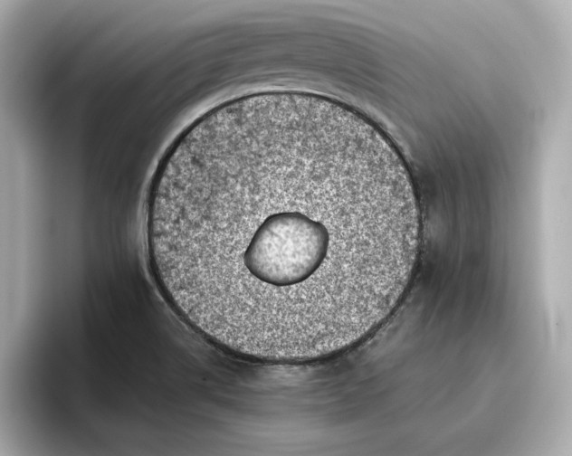 X0000096961514200802221332