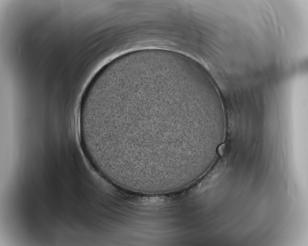 X0000096961515200802221332