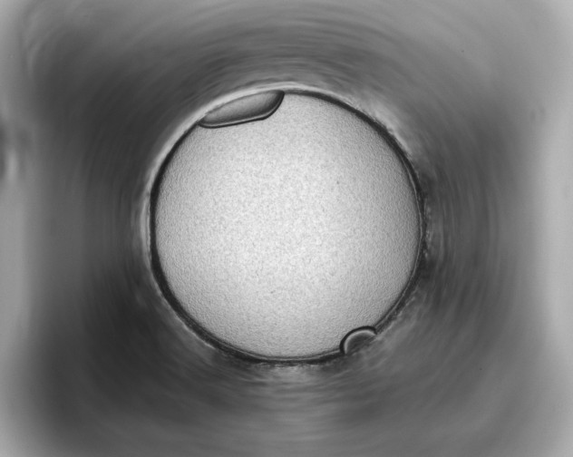 X0000096961516200802221332