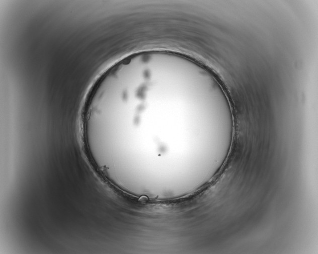 X0000096961517200802221332